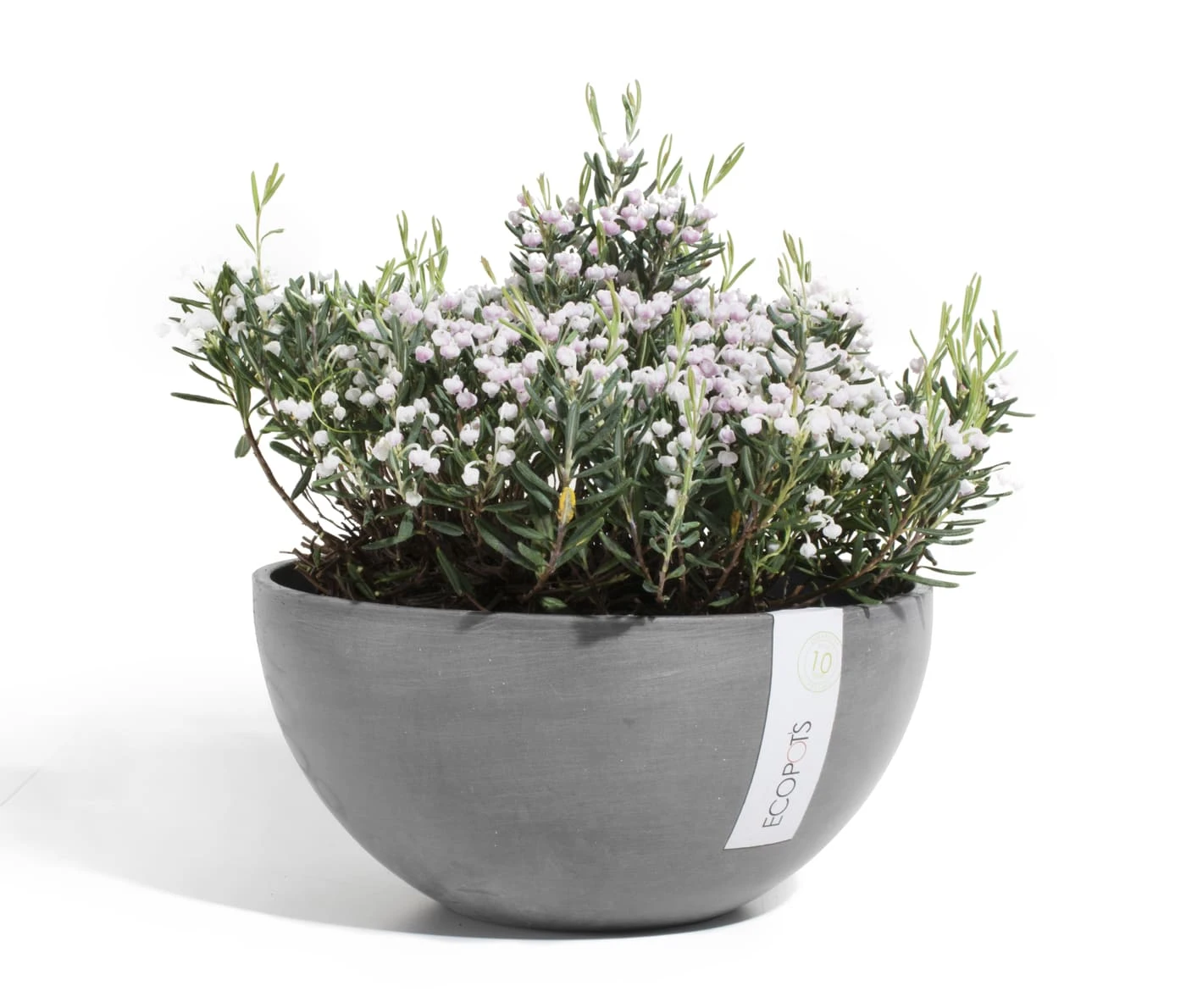 Blumentopf ECOPOTS Brüssel aus Kunststoff | grau Blumentopf ECOPOTS Brüssel Aus Kunststoff | Grau -Heizungsanlagen Geschaft Blumentopf ECOPOTS Bruessel aus Kunststoff grau 933001010 2 117932
