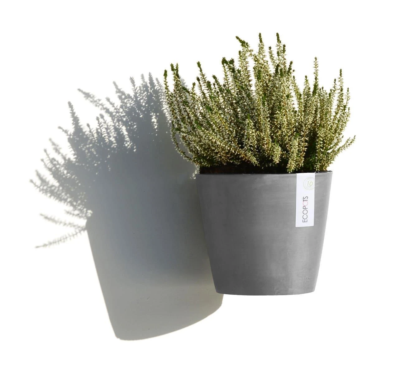 Blumentopf ECOPOTS Amsterdam Wall hängend | 20 x 17,5 cm | aus Kunststoff | grau Blumentopf ECOPOTS Amsterdam Wall Hängend | 20 X 17,5 Cm | Aus Kunststoff | Grau -Heizungsanlagen Geschaft blumentopf ecopots amsterdam wall 1 2 4567