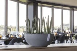 Blumentopf ECOPOTS Sofia Aus Kunststoff | 30 X 13 X 13,5 Cm | Grau -Heizungsanlagen Geschaft blumentopf ecopots sofia milieu 2 5 11595