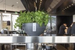 Blumentopf ECOPOTS Sofia Aus Kunststoff | 30 X 13 X 13,5 Cm | Grau -Heizungsanlagen Geschaft blumentopf ecopots sofia milieu 3 4 9583