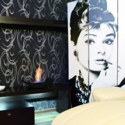 Ethanol-Kamin Kratki BIOMISA MINI 7 Ethanol-Kamin Kratki BIOMISA MINI -Heizungsanlagen Geschaft ethanol kamin kratki biomisa mini milieujpg 6 140509